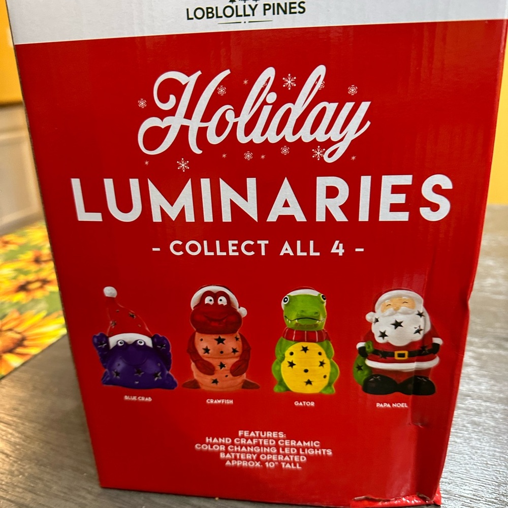 Holiday Luminaries